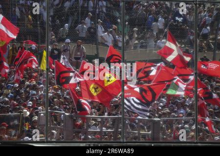 Spettatori, tifosi durante il podio della 24 ore di le Mans 2023 sul circuito des 24 Heures du Mans il 11 giugno 2023 a le Mans, Francia - Foto: Paulo Maria/DPPI/LiveMedia Foto Stock