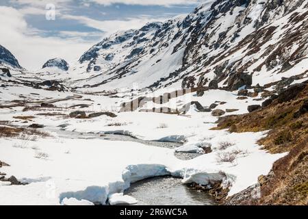 Sognefjellet strada per passare più alto in Norvegia. Foto Stock