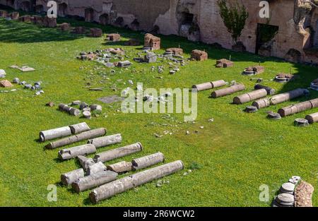 Colle Palatino Foto Stock