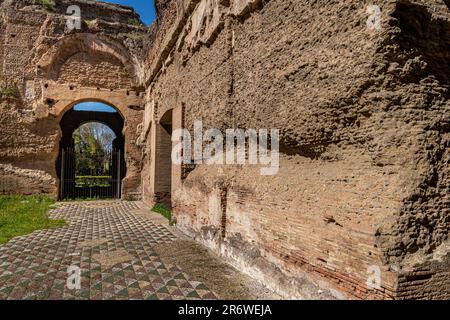 Riccamente decorate mosaici da pavimento alle Terme di Caracalla, le Terme di Caracalla erano le seconde più grandi terme antiche di Roma Foto Stock