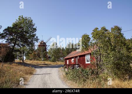 Strada vuota tra alberi ed edifici contro il cielo limpido Foto Stock