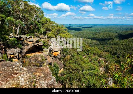 Sublime Point Lookout offre viste sensazionali della Jamison Valley, del Blue Mountains National Park, del nuovo Galles del Sud, Australia Foto Stock