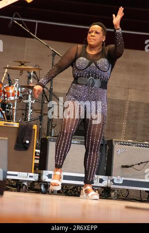 10 giugno 2023, Chicago, il, USA: Il Chicago Blues Festival ha continuato con un forte ritmo sabato sera 10th giugno. Le esibizioni di strong Blues hanno fatto ballare la folla con le braccia in aria. SugarRay Rayford, Demetria Taylor e la Mike Wheeler Band e Mud Morganfield (figlio di Muddy Waters) con una blues star stuudded band sono stati gli atti della serata. (Credit Image: © Karen I. Hirsch/ZUMA Press Wire) SOLO PER USO EDITORIALE! Non per USO commerciale! Foto Stock