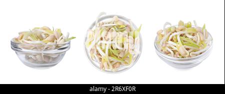 Molti germogli di fagioli mungo in una ciotola di vetro su fondo bianco, lati diversi Foto Stock