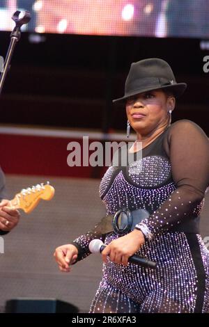 10 giugno 2023, Chicago, il, USA: Il Chicago Blues Festival ha continuato con un forte ritmo sabato sera 10th giugno. Le esibizioni di strong Blues hanno fatto ballare la folla con le braccia in aria. SugarRay Rayford, Demetria Taylor e la Mike Wheeler Band e Mud Morganfield (figlio di Muddy Waters) con una blues star stuudded band sono stati gli atti della serata. (Credit Image: © Karen I. Hirsch/ZUMA Press Wire) SOLO PER USO EDITORIALE! Non per USO commerciale! Foto Stock