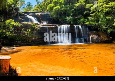 Queens Cascades è una piccola cascata lungo Jamison Creek, Wentworth Falls, Blue Mountains National Park, New South Wales, Australia Foto Stock