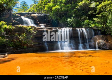 Queens Cascades è una piccola cascata lungo Jamison Creek, Wentworth Falls, Blue Mountains National Park, New South Wales, Australia Foto Stock