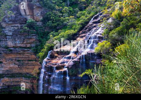 Wentworth Falls, il Parco Nazionale Blue Mountains, Nuovo Galles del Sud, Australia Foto Stock