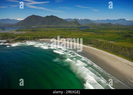 Immagine aerea di Cox Bay, BC, Canada Foto Stock