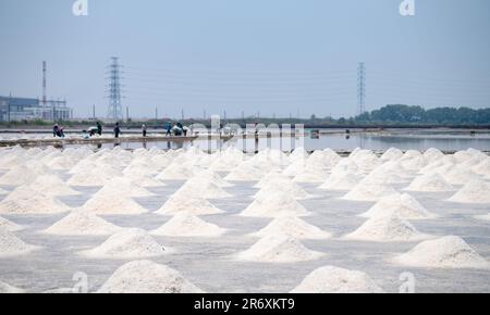 Fattoria di sale marino in Thailandia. Sale di salamoia. Materia prima di sale industriale. Cloruro di sodio. Evaporazione e cristallizzazione dell'acqua di mare. Lavoratore che lavora Foto Stock