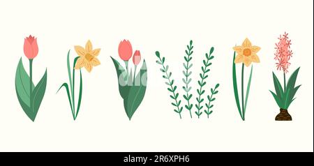 Fioritura tulipani e Narciso fiori primavera vettore collezione illustrazioni. Foglie verdi e fiori fioriscono stagionale stile piatto disegni set Illustrazione Vettoriale