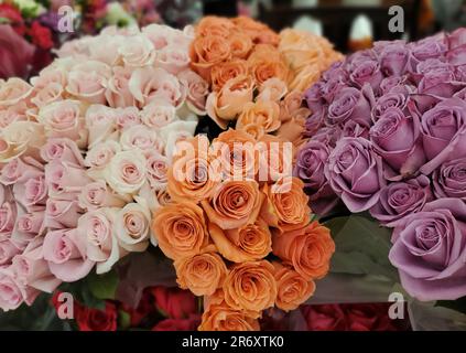 Bel bouquet di rose rosa chiaro, arancio e viola Foto Stock