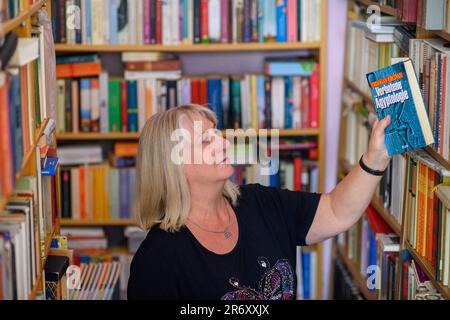 PRODUZIONE - 25 maggio 2023, Sassonia-Anhalt, Mühlbeck: Myriam Gödicke ordina un libro in una libreria nella sua libreria antiquaria. L'Antiquariato Gödicke Alte Schule ha più di 200.000 libri, suddivisi in 35 aree tematiche. I fan della letteratura, i tossicodipendenti e i bachi sono attratti dal primo villaggio di libri della Germania, ma i bookseller antiquari non hanno successori in vista 26 anni dopo la sua fondazione. Foto: Klaus-Dietmar Gabbert/dpa Foto Stock