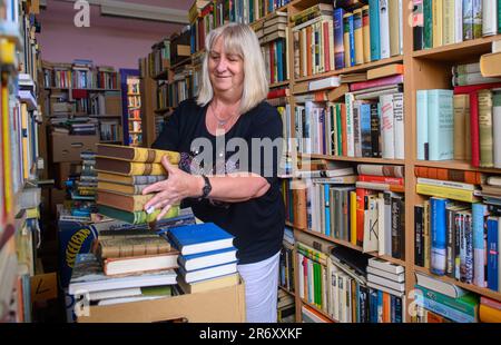 PRODUZIONE - 25 maggio 2023, Sassonia-Anhalt, Mühlbeck: Myriam Gödicke ordina un libro in una libreria nella sua libreria antiquaria. L'Antiquariato Gödicke Alte Schule ha più di 200.000 libri, suddivisi in 35 aree tematiche. Gli appassionati di letteratura, i tossicodipendenti e i bachi da libro sono attratti dal primo villaggio tedesco di libri, ma gli antiquari non hanno successori in vista 26 anni dopo la sua fondazione. (A dpa-Korr 'la magia tra le copertine dei libri - il villaggio dei libri cerca il successore') Foto: Klaus-Dietmar Gabbert/dpa Foto Stock