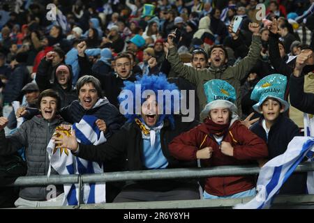 La Plata, Argentina. 11th giugno, 2023. I tifosi uruguaiani reagiscono durante la finale di Coppa del mondo FIFA U20 tra Uruguay e Italia a la Plata, in Argentina, il 11 giugno 2023. Credit: Martin Zabala/Xinhua/Alamy Live News Foto Stock