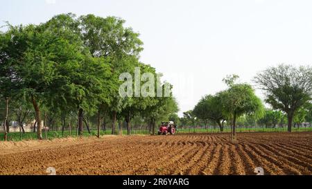 Coltivatore con trattore seminando, seminando raccolti su campo. La semina è il processo di piantare semi nel terreno come parte dell'agricoltura primaverile Foto Stock