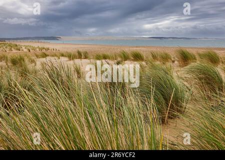 Baia di Arcachon e Capo Ferret in Aquitania. Oceano Atlantico, Francia Foto Stock