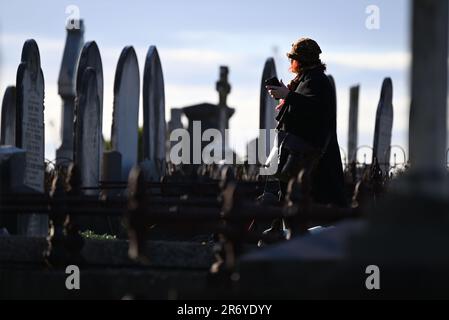 Donna di mezza età che cammina cani attraverso file di tombe in un cimitero mentre tiene un iPhone nella mano sinistra in una chiara giornata invernale Foto Stock