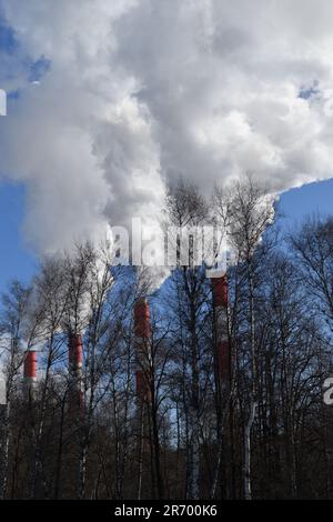 Fumo da tre tubi CHP sullo sfondo di alberi a Mosca, Russia Foto Stock