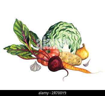 Acquerello composizione vegetale con cavolo, carota, barbabietola, cipolla, aglio, patata, pomodoro. Set da cucina borscht. Vegetale disegnato a mano isolato su Foto Stock