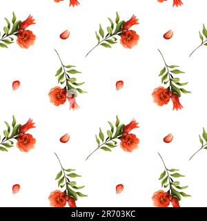 Il rosso melograno fiori e semi acquerello senza cuciture con rami luminosi sul bianco. Illustrazione botanica Foto Stock