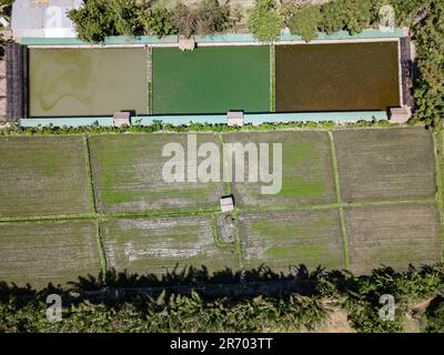 Vista aerea delle risaie e della vecchia fattoria di gamberetti, Ubud, Bali, Indonesia Foto Stock