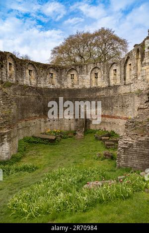 Vista interna della Torre Multangular nei Giardini del Museo, il miglior esempio di resti romani in piedi a York, visto contro un cielo blu. Foto Stock