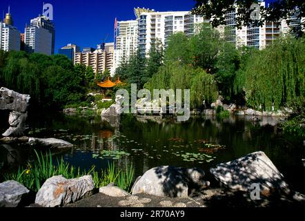 Sydney, NSW Australia, Darling Harbour, Giardino Cinese dell'amicizia Foto Stock