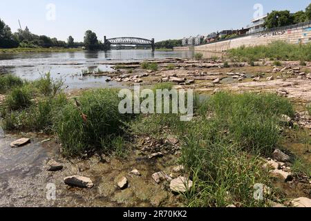 Magdeburgo, Germania. 25th maggio, 2022. Parte del letto del fiume dell'Elba si trova asciutto. Nonostante il basso livello d'acqua, alcune navi stanno ancora navigando sull'Elba vicino a Magdeburgo. Con l'attuale basso livello dell'acqua, tuttavia, sarà più difficile per la spedizione. Nei prossimi giorni, dovrebbe rimanere caldo e poca pioggia è prevista, dicono i meteorologi. Credit: Peter Gercke/dpa-Zentralbild/dpa/Alamy Live News Foto Stock