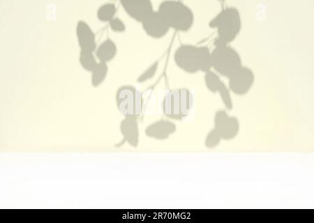 Plate ombre su pareti di colore neutro. Lascia lo sfondo ombreggiato. Rami, fiori e fogliame su sfondo pastello studio. Presentazione del prodotto, minimi Foto Stock