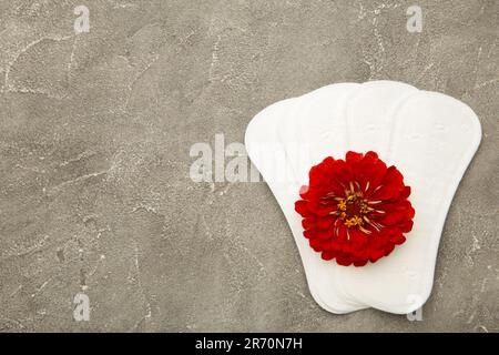 Tampone sanitario bianco, protezione igienica su sfondo grigio. Ciclo mestruale ginecologico. Un fiore di rosa si trova su un tampone mestruale. Prima mestruazione. Foto Stock