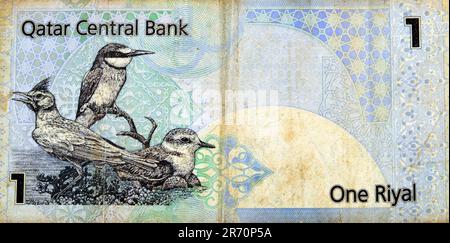 Grande frammento del lato opposto di 1 Qatari Riyal denaro contante moneta di Qatar banconota con uccelli nativi Quark Galerida cristata, eurasiatica Foto Stock