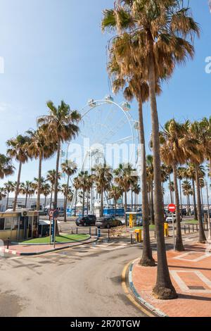 Ruota panoramica nel porto di Marina, Benalmadena, Costa del Sol, Spagna. Foto Stock