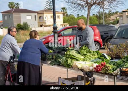 Fruttivendolo lungo la strada ad Alacant, Spagna meridionale Foto Stock