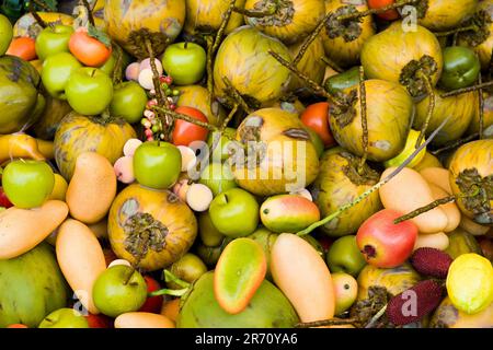 Frutta di stagione Foto Stock