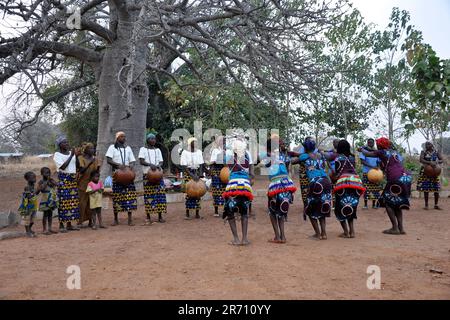 Benin. Koussucoungou. danza locale Foto Stock