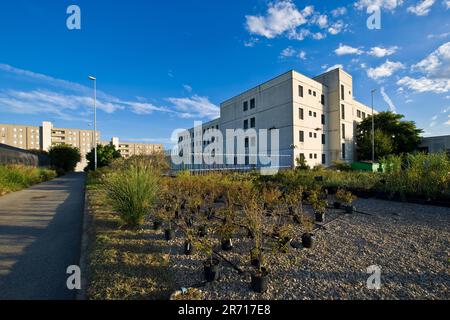 Italia. lombardia. Carcere di Bollate. parola femminile Foto Stock