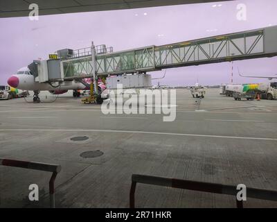 Un aereo commerciale a reazione si trova sul tarmac con la sua porta aperta: Aeroporto Henri Coanda Foto Stock