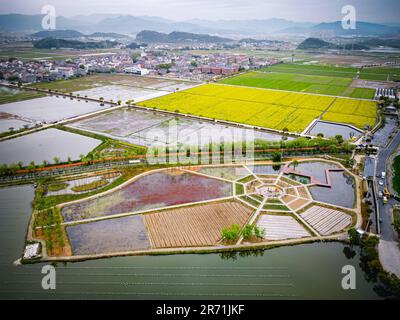 (230612) -- HANGZHOU, 12 giugno 2023 (Xinhua) -- questa foto aerea scattata il 29 marzo 2023 mostra una base di tour di studio agricolo nella città di Fengqiao di Zhuji, nella provincia di Zhejiang della Cina orientale. Nel giugno 2003, Zhejiang ha lanciato il programma di rinascita rurale Verde, che prevede di rinnovare circa 10.000 villaggi incorporati e di trasformare circa 1.000 villaggi centrali tra loro in esempi di prosperità moderata sotto tutti gli aspetti. Grazie al programma, l'immagine della campagna è stata completamente innalzata nella Provincia di Zhejiang. Un totale di 2.170 villaggi e oltre 3 milioni di bella co rurale Foto Stock