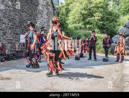 Spettacolo dei Flagcrackers di Craven al Cappelside Farm Open Farm Day tenutosi a Rathmell (North Yorkshire) il 11th giugno 2023. Foto Stock