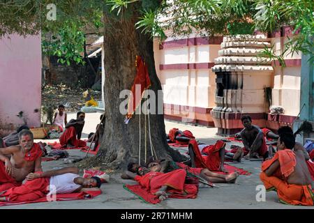 India. Orissa. Distretto di Ganjam. Rito di Danda Yatra Foto Stock