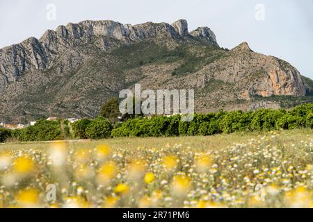 Montagna a forma di faccia indiana Foto Stock