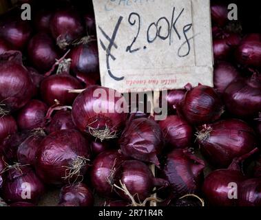 Cipolle rosse fresche e biologiche, dolci e speziate, in un mercato agricolo a Catania Sicilia, Italia. Foto Stock