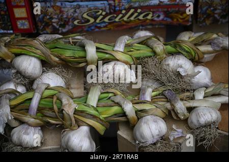 Aglio verde biologico fresco in un mercato agricolo a Catania Sicilia, Italia. Foto Stock