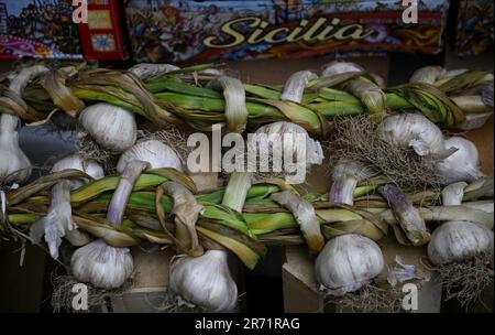 Aglio verde biologico fresco in un mercato agricolo a Catania Sicilia, Italia. Foto Stock