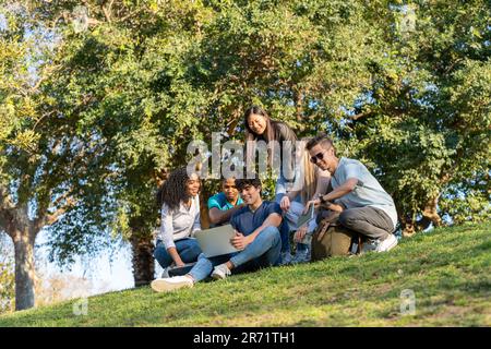 Gruppo di amici adolescenti che guardano il computer portatile nel parco su erba verde Foto Stock