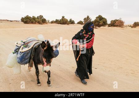 Marocco. Taouz. la vita quotidiana Foto Stock