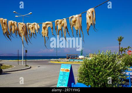 Polpo morto che asciuga al sole l'isola greca di Kos, nel Dodecaneso, Mar Egeo, Grecia Foto Stock