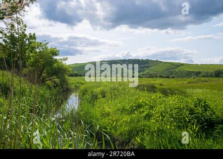 White Horse e ruscello conosciuto anche come Hindover Hill White Horse, Litlington, East Sussex, England, UK Foto Stock