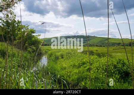 White Horse e ruscello conosciuto anche come Hindover Hill White Horse, Litlington, East Sussex, England, UK Foto Stock